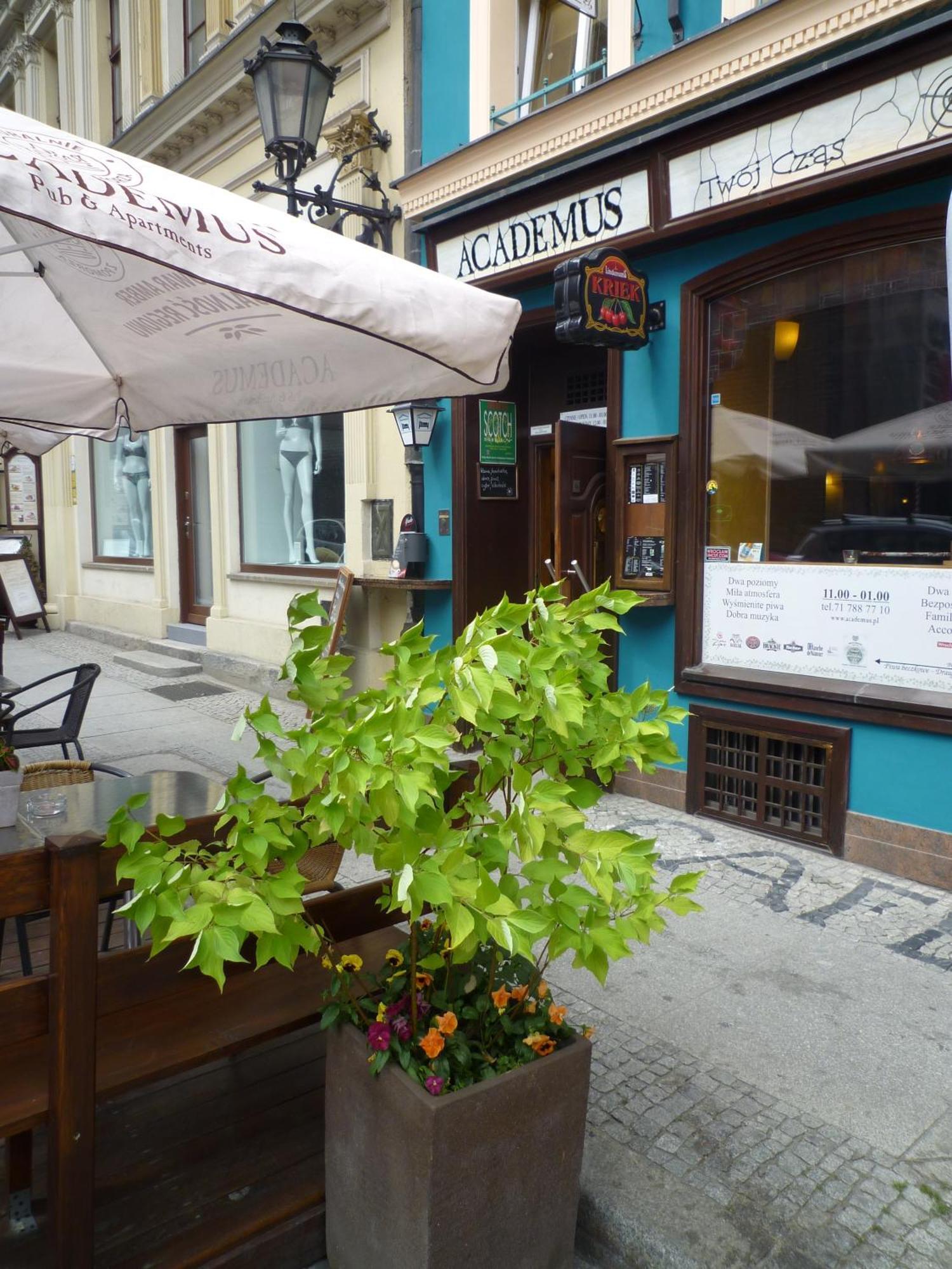 فروتسواف Academus Pub & Guest House المظهر الخارجي الصورة