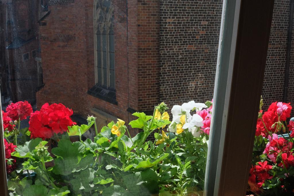 فروتسواف Academus Pub & Guest House الغرفة الصورة